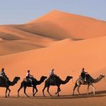 Le désert de Merzouga