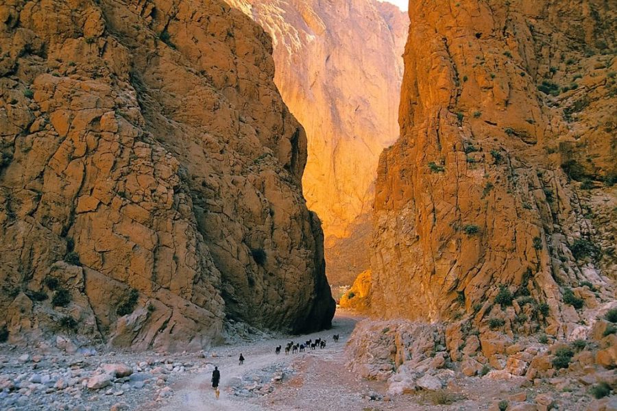 Exploration des Gorges du Dadès et de Todra