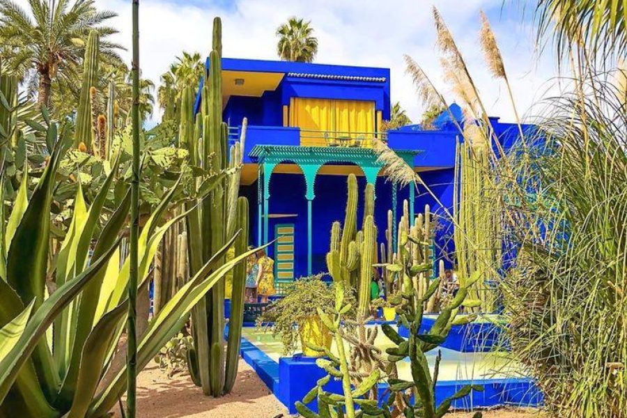 Les jardins majorelle